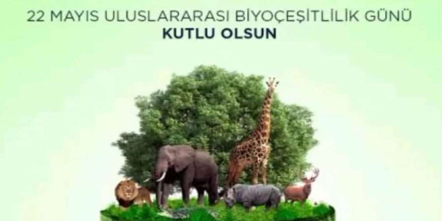 Dünya Biyoçeşitlilik Günü - 22 Mayıs